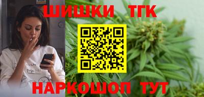 индика Славгород