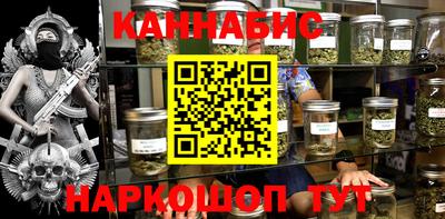 индика Славгород